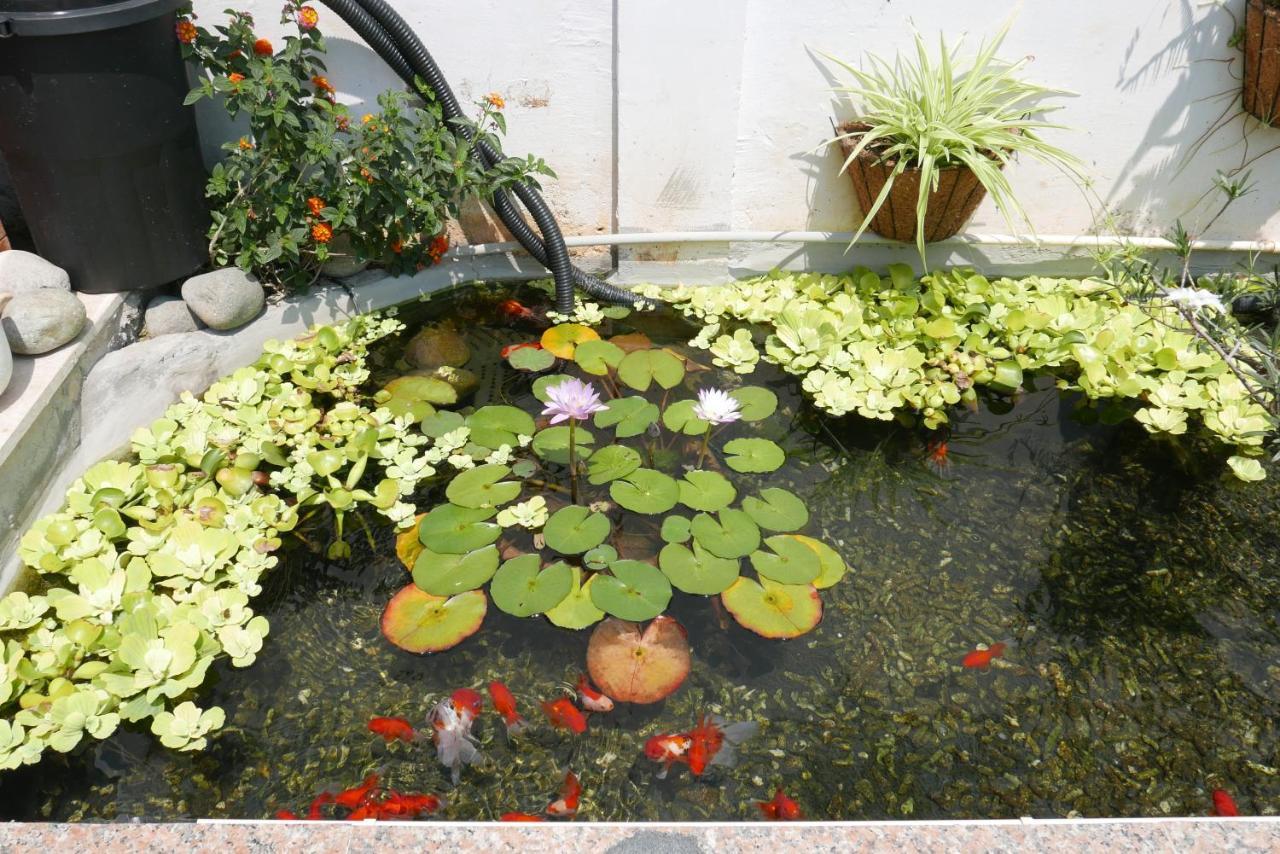 Nature Land 2 - Song Anh Hotel Dalat Dış mekan fotoğraf